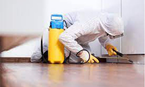 Split AC Dry Servicing