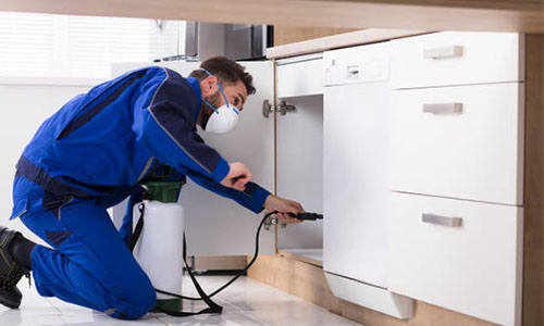 Split AC Dry Servicing
