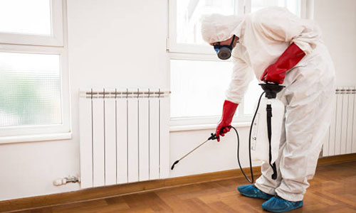 Split AC Dry Servicing