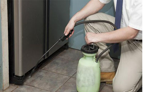 Split AC Dry Servicing